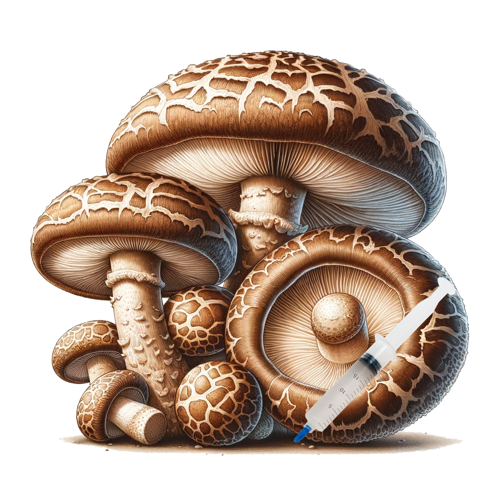 Kit de culture de champignons shiitake – The Seed Company by E.W. Gaze