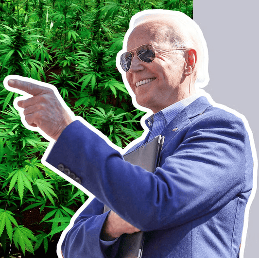 Should We Celebrate Biden’s Midterm Marijuana Move? - zugzology