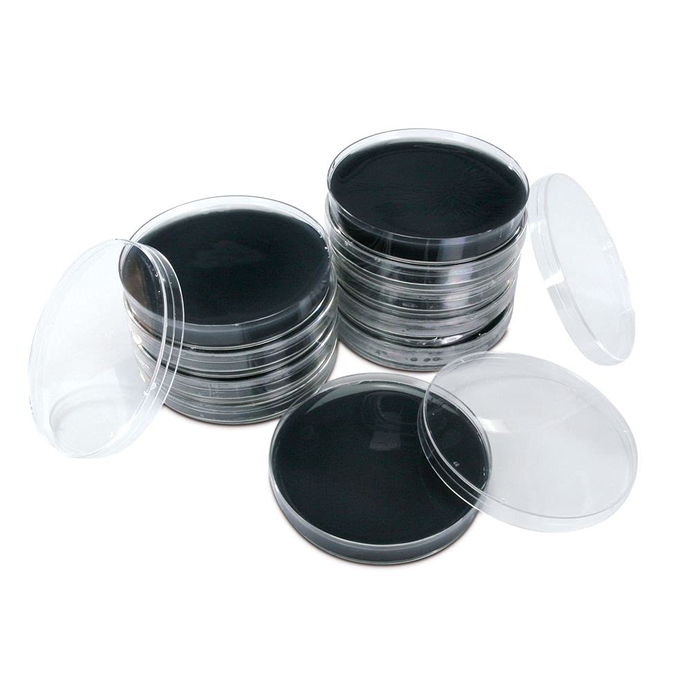 10 Pack of Agar Plates - zugzology