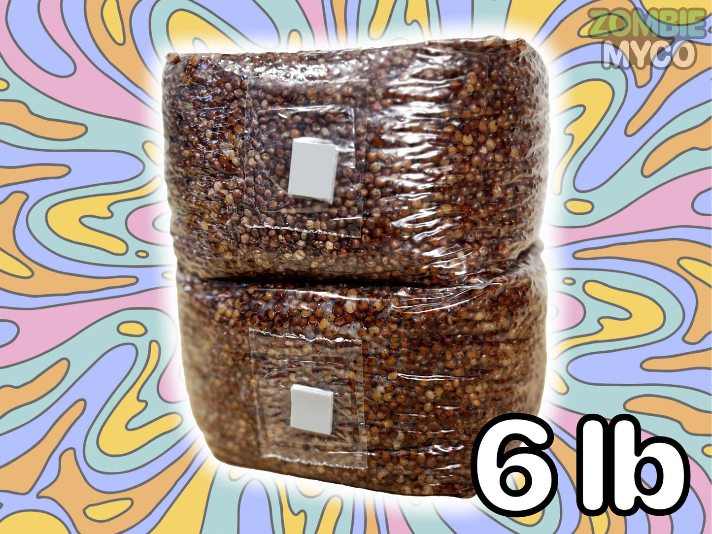 Grain Spawn Bags 6lb ( 2x ) - Sterile Grain Spawn