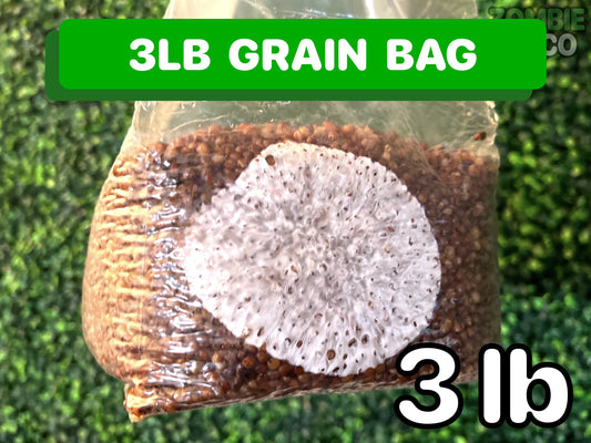 Grain Spawn Bag (3lb) - Mushroom Grain Bag - Sterile