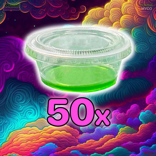 Agar Cups ( 50x ) - 100% Sterile Agar Plates - Sorghum Yeast Agar