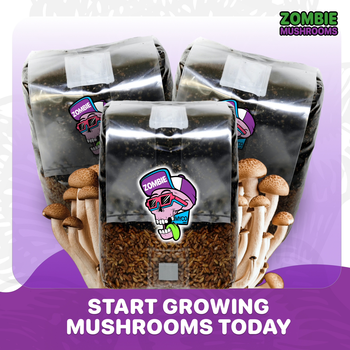 MINI Mushroom Grow Bag ( 6x ) - 3lb (18lb total)