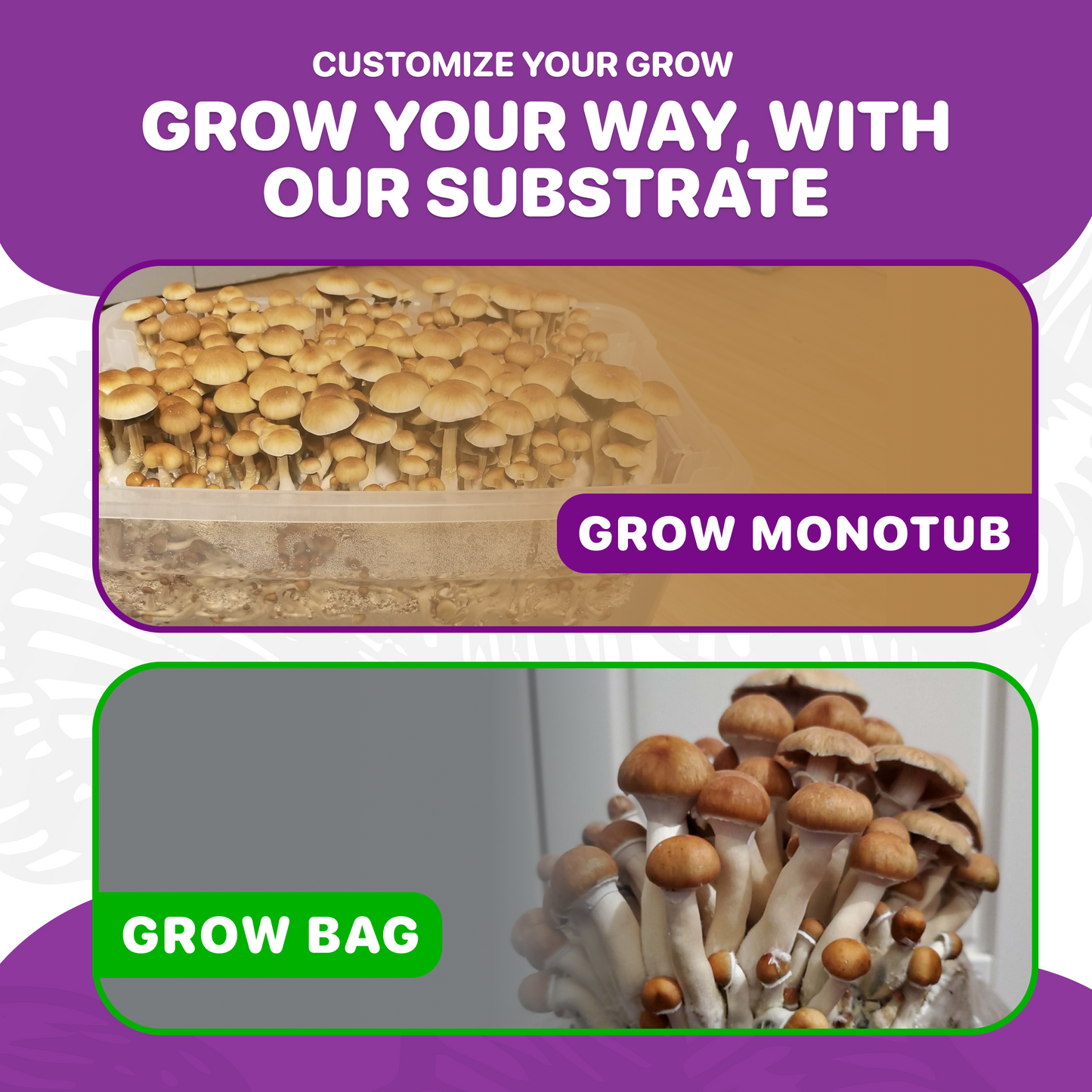 Mushroom Grow Kit - Monotub Refil Kit ( 8lb ) - Sterilized Grain and CVG