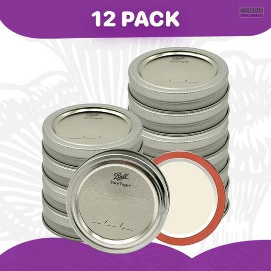 Canning Lids with Rings