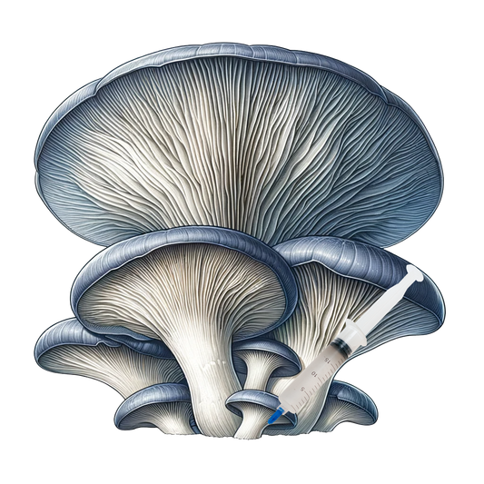 Blue Oyster (10cc) Culinary Mushroom Liquid Culture