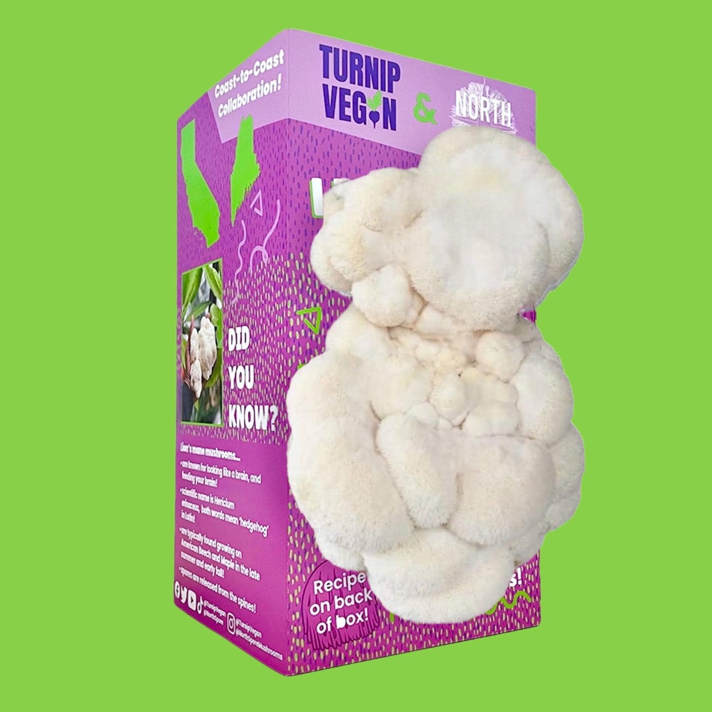 Turnip Vegan Lion's Mane Mushroom Grow Kit + Book Set