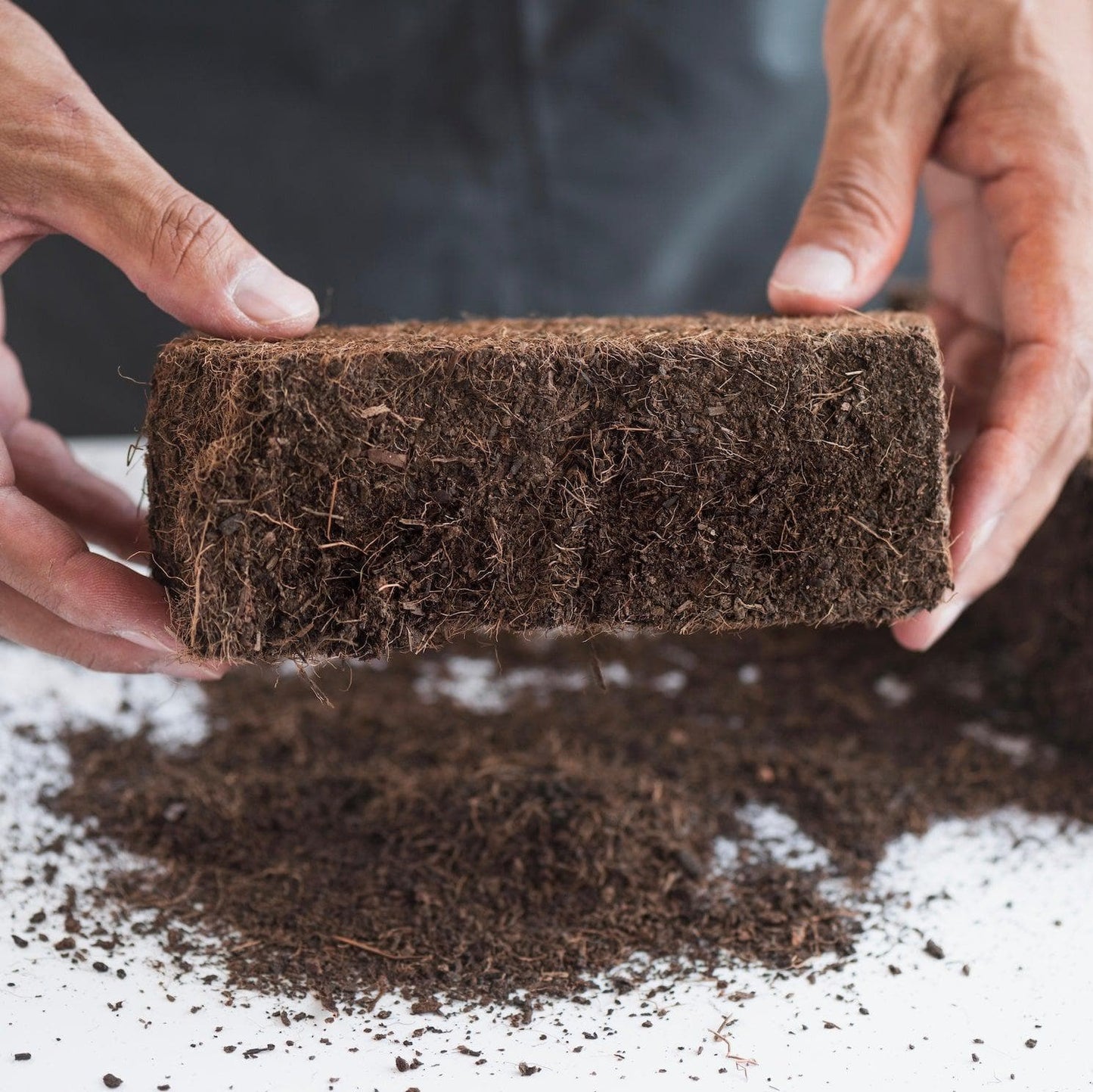 'Myco Coco' Compressed Coco Coir Substrate & Casing Layer