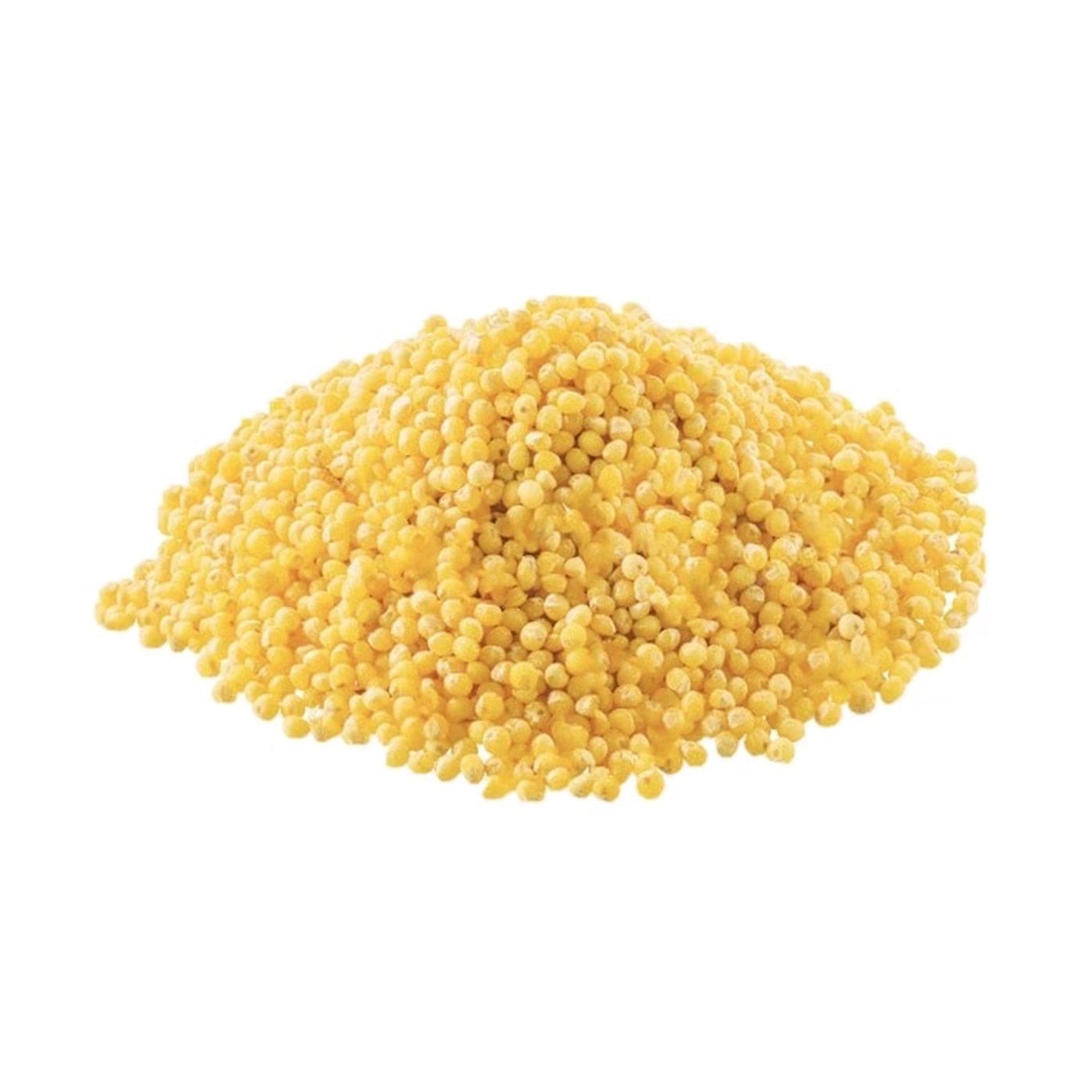 Bulk Organic Millet Grain for Mushroom Cultivation