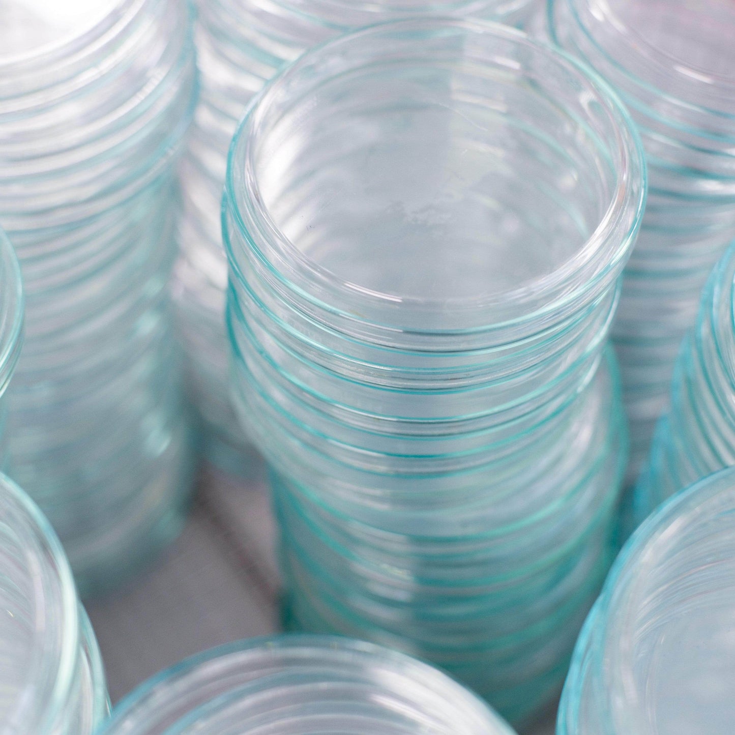 Medical-Grade Sterile Petri Dishes