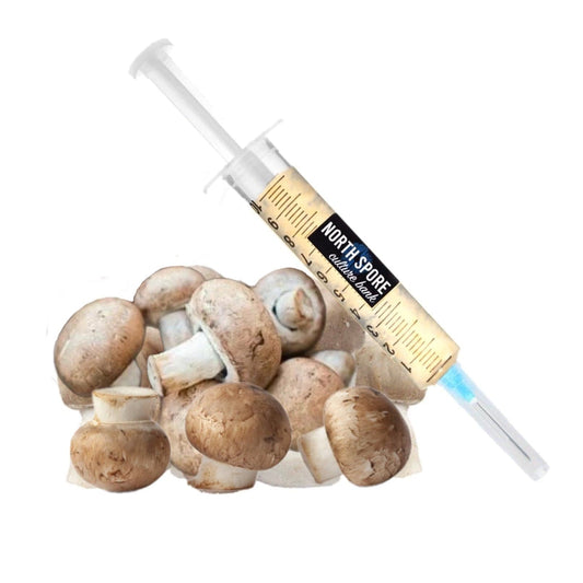 Organic Almond Agaricus Mushroom Liquid Culture Syringe