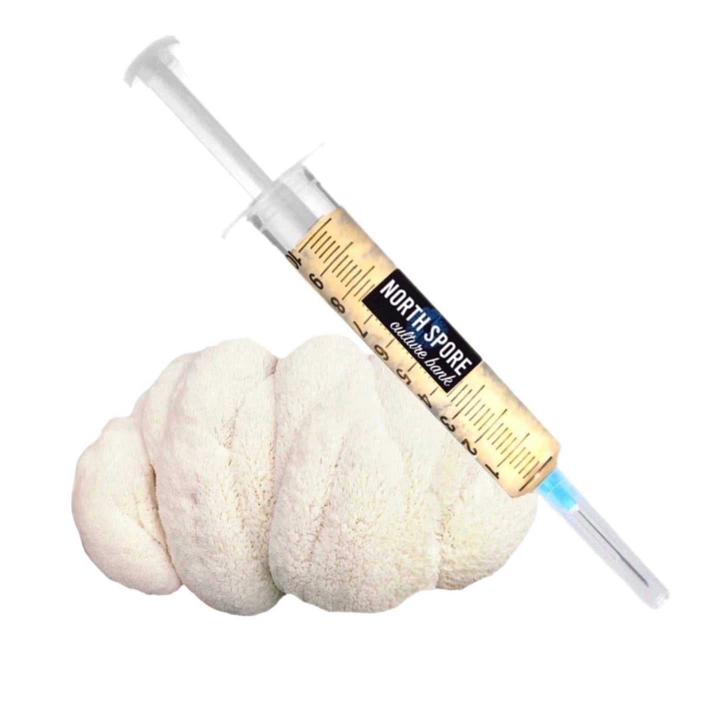 Organic Lion's Mane Mushroom Liquid Culture Syringe