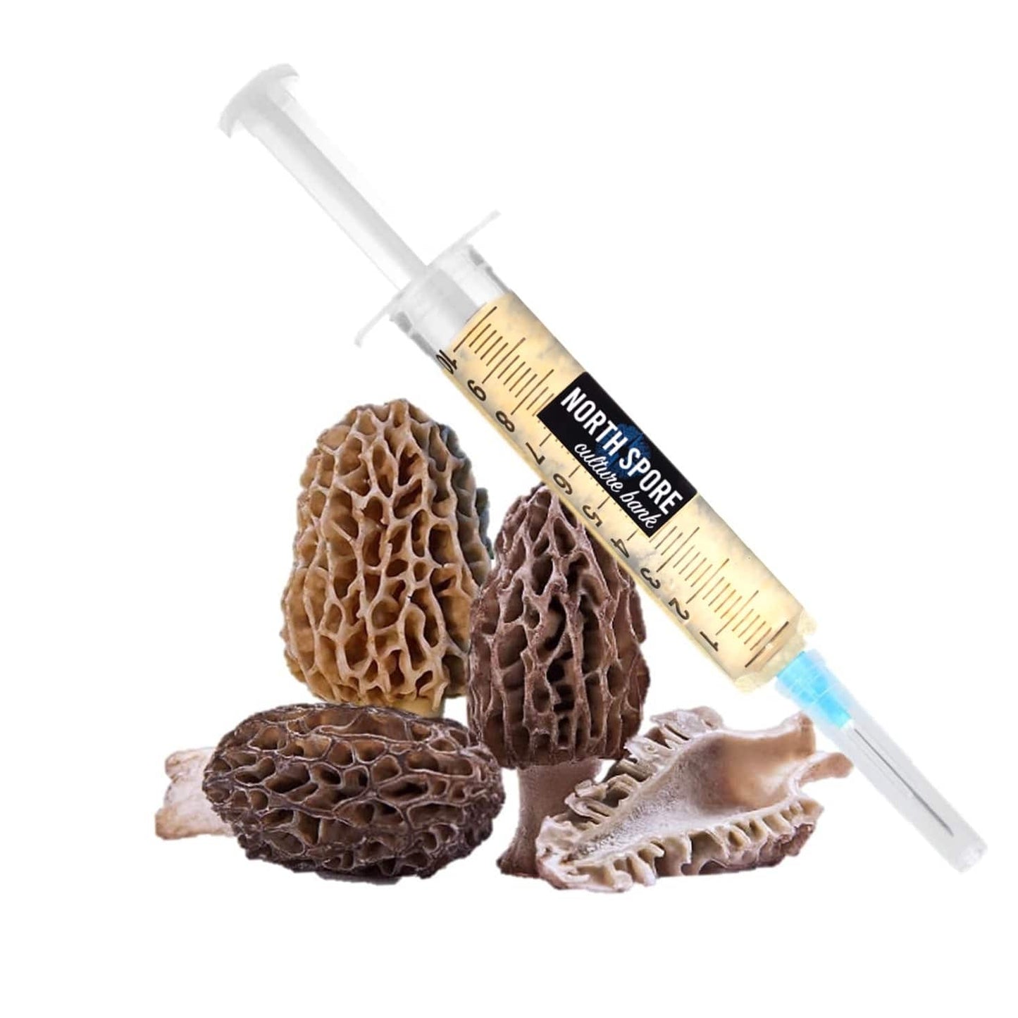 Organic Morel Mushroom Liquid Culture Syringe