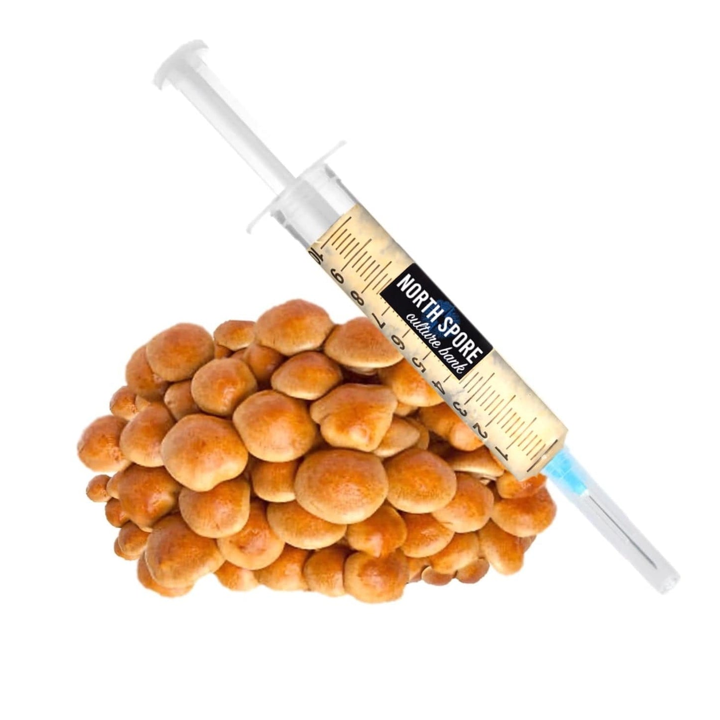 Organic Nameko Mushroom Liquid Culture Syringe