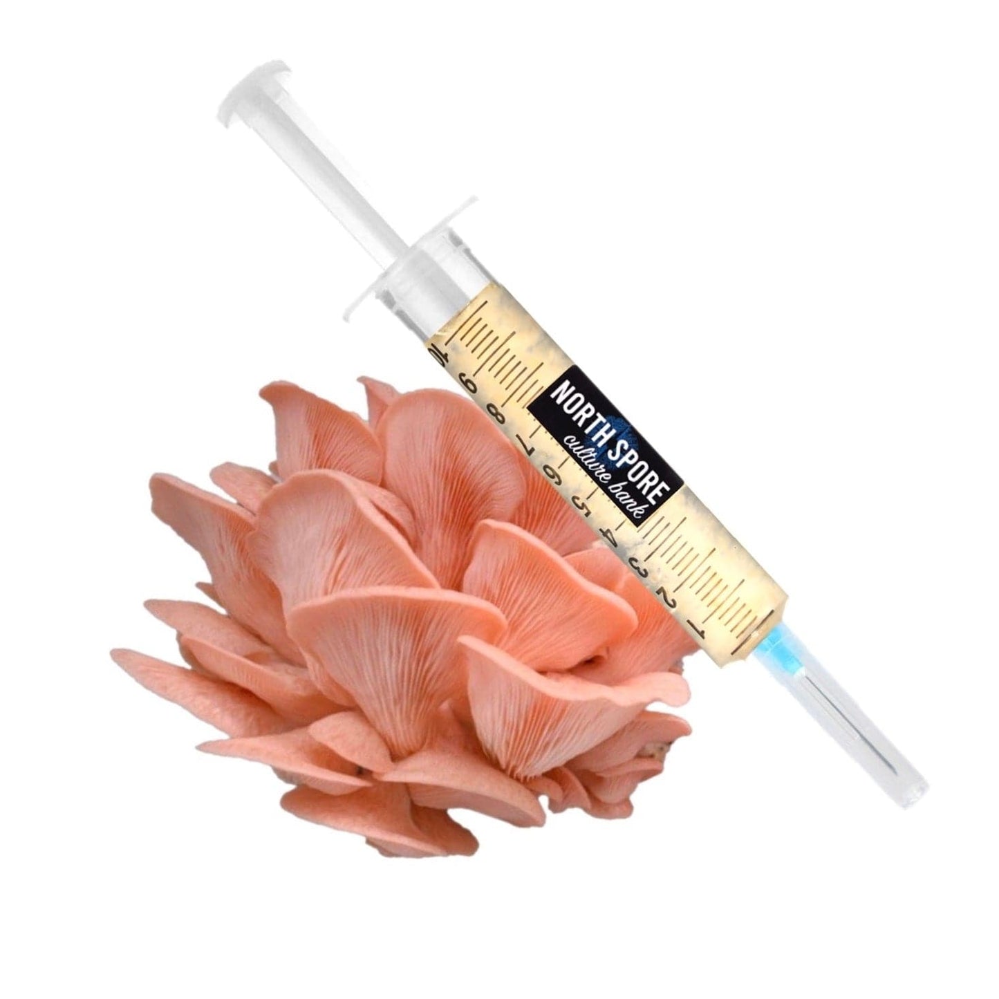 Organic Pink Oyster Mushroom Liquid Culture Syringe