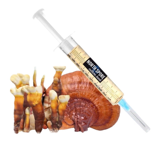 Organic Reishi Mushroom Liquid Culture Syringe