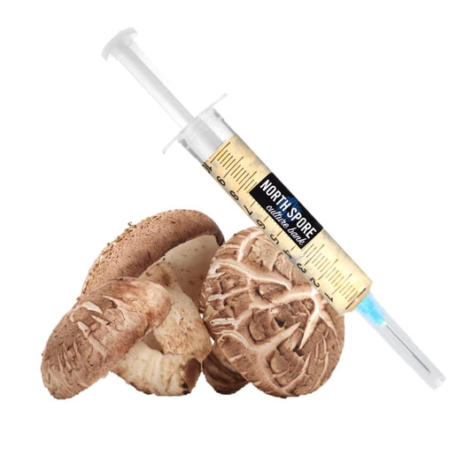 Organic Shiitake Mushroom Liquid Culture Syringe