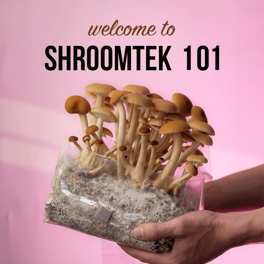 ONLINE EVENT: ShroomTek Workshop | Growing Mushrooms in Bags