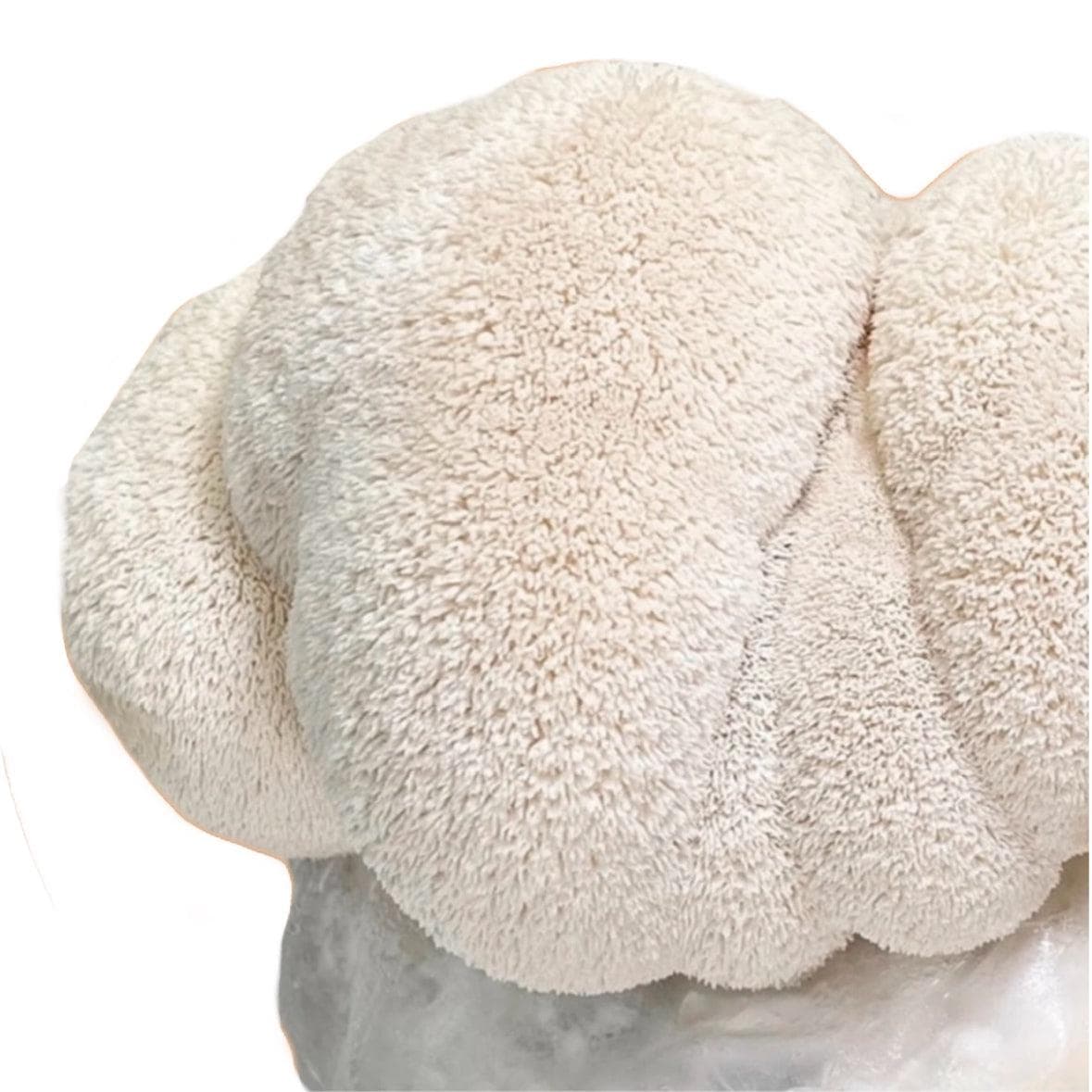 Organic Lion's Mane Mushroom Grow Kit Fruiting Block