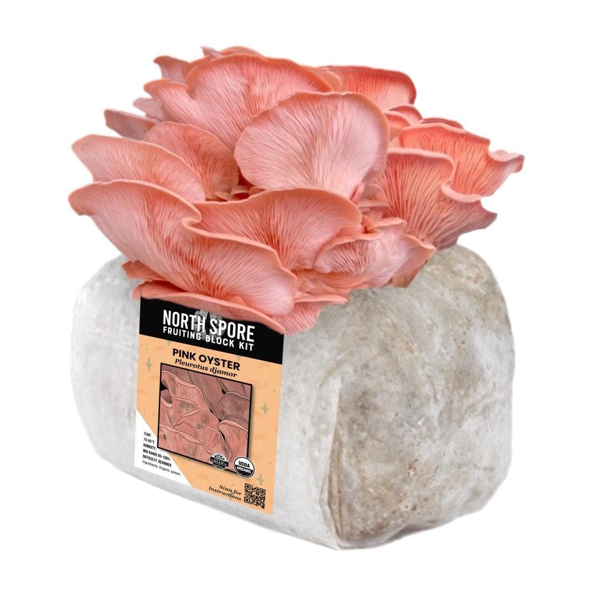 Organic Pink Oyster Mushroom Grow Kit Fruiting Block