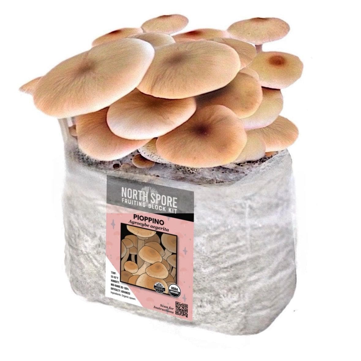 Organic Pioppino Mushroom Grow Kit Fruiting Block