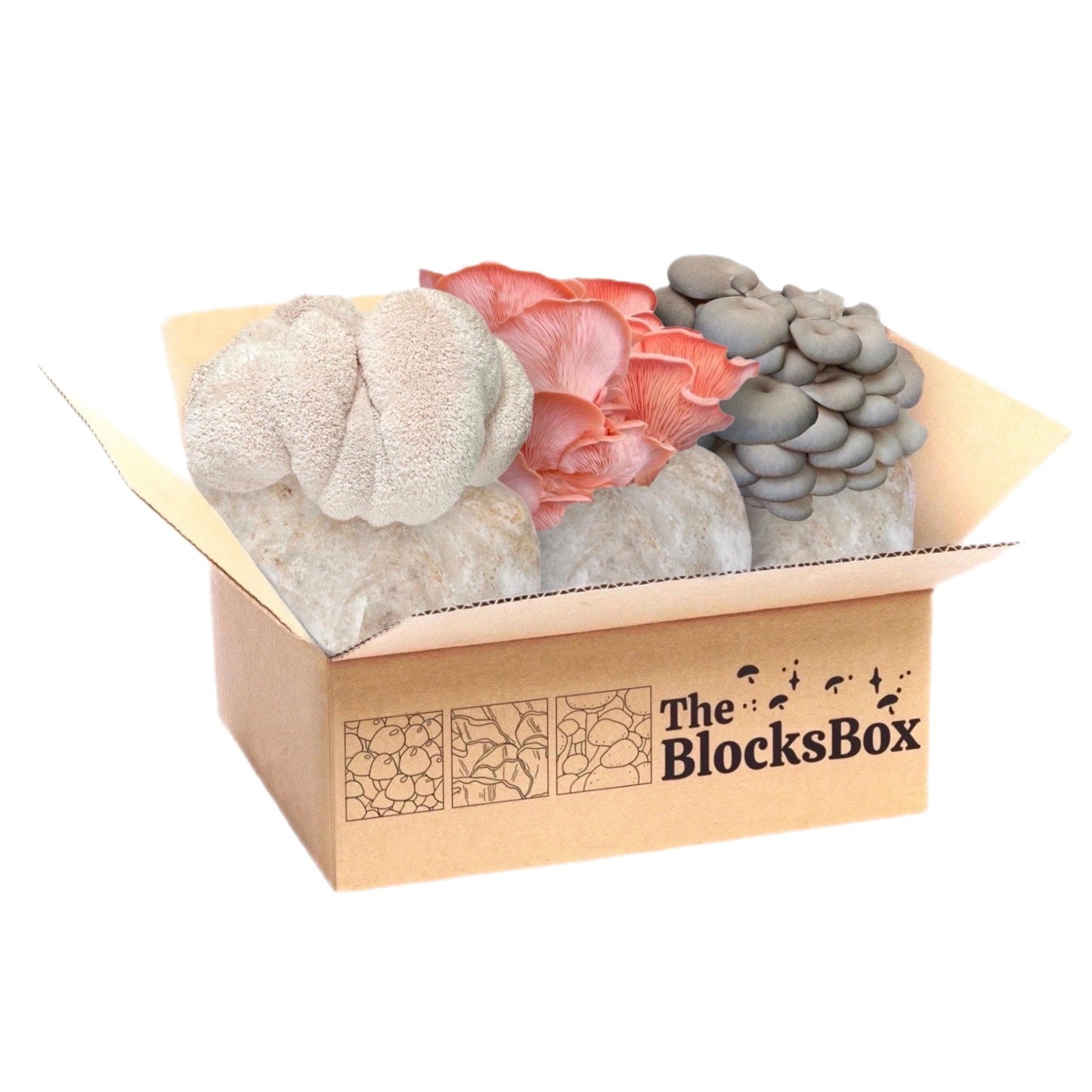 'The BlocksBox' Organic Mushroom Grow Kit Subscription