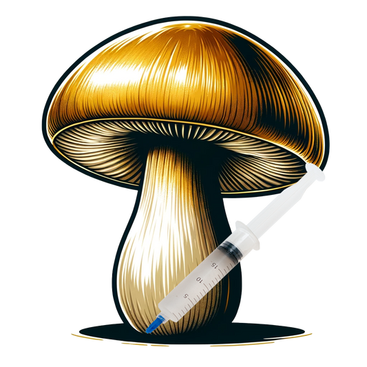 Golden Teachers (10cc) Mushroom Liquid Culture