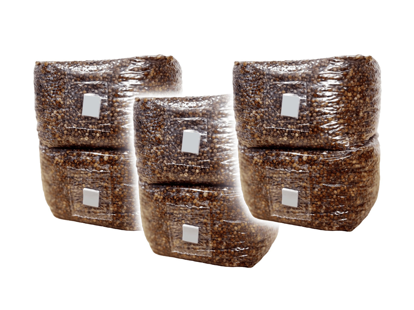 Grain Spawn Mushroom Bags ( 18lb ) - Milo Sorghum ( 6x )