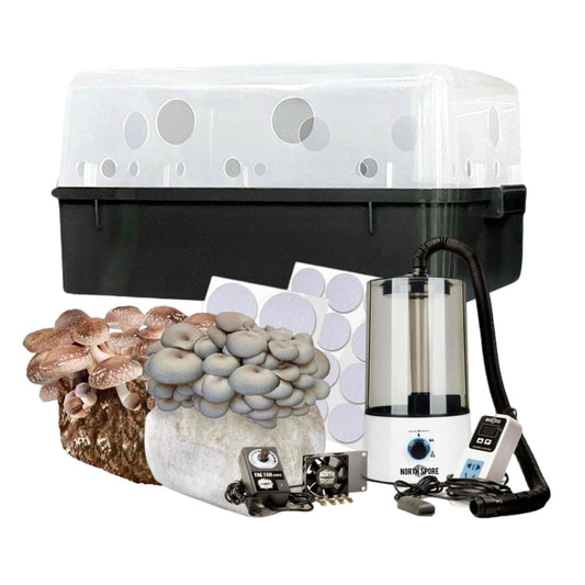 Automated 'Boomr Bin' + Fruiting Blocks Monotub Mushroom Grow Kit