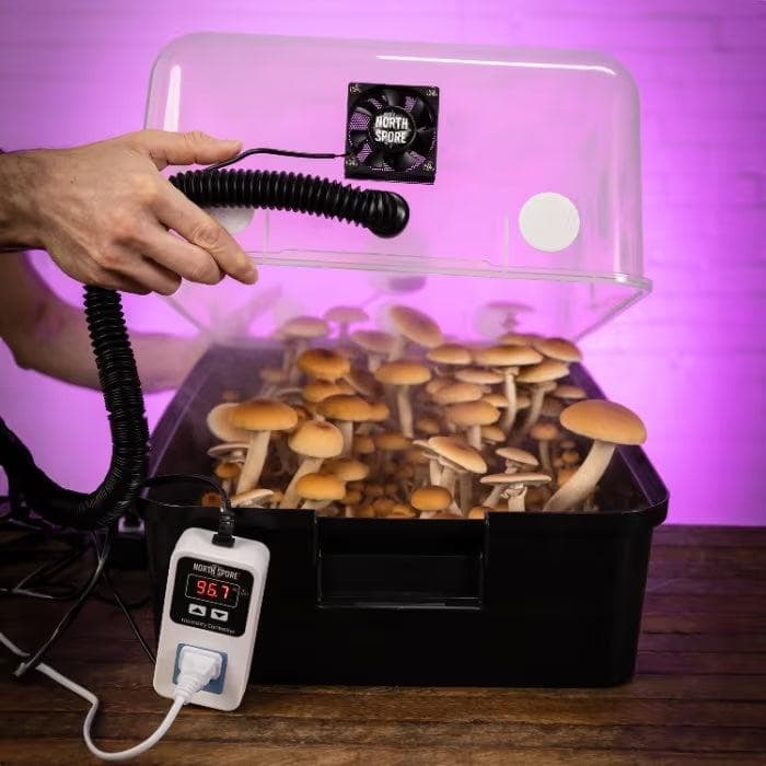 Automated 'Boomr Bin' Monotub Mushroom Grow Kit