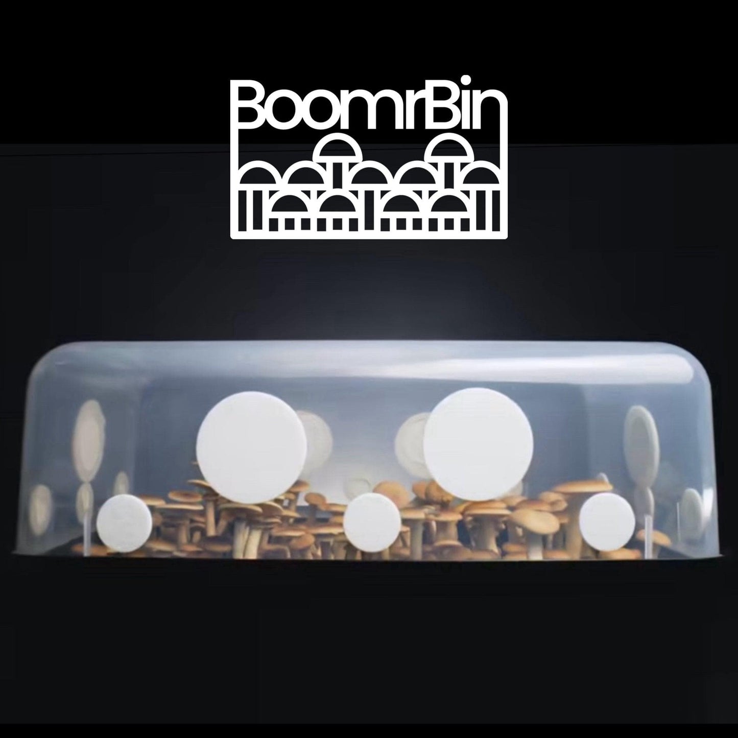 'Boomr Bin' Wood-Loving Monotub Mushroom Grow Kit