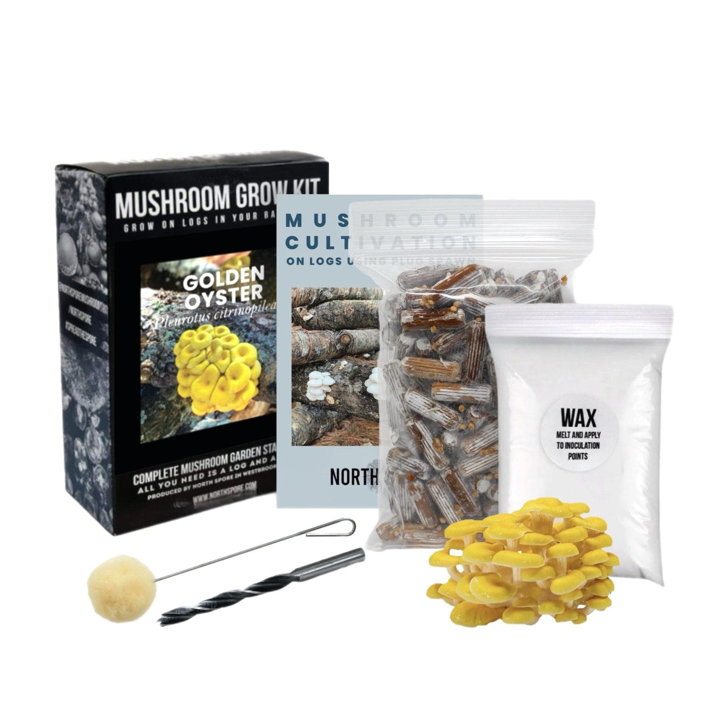 Organic Golden Oyster Mushroom Outdoor Log Growing Kit