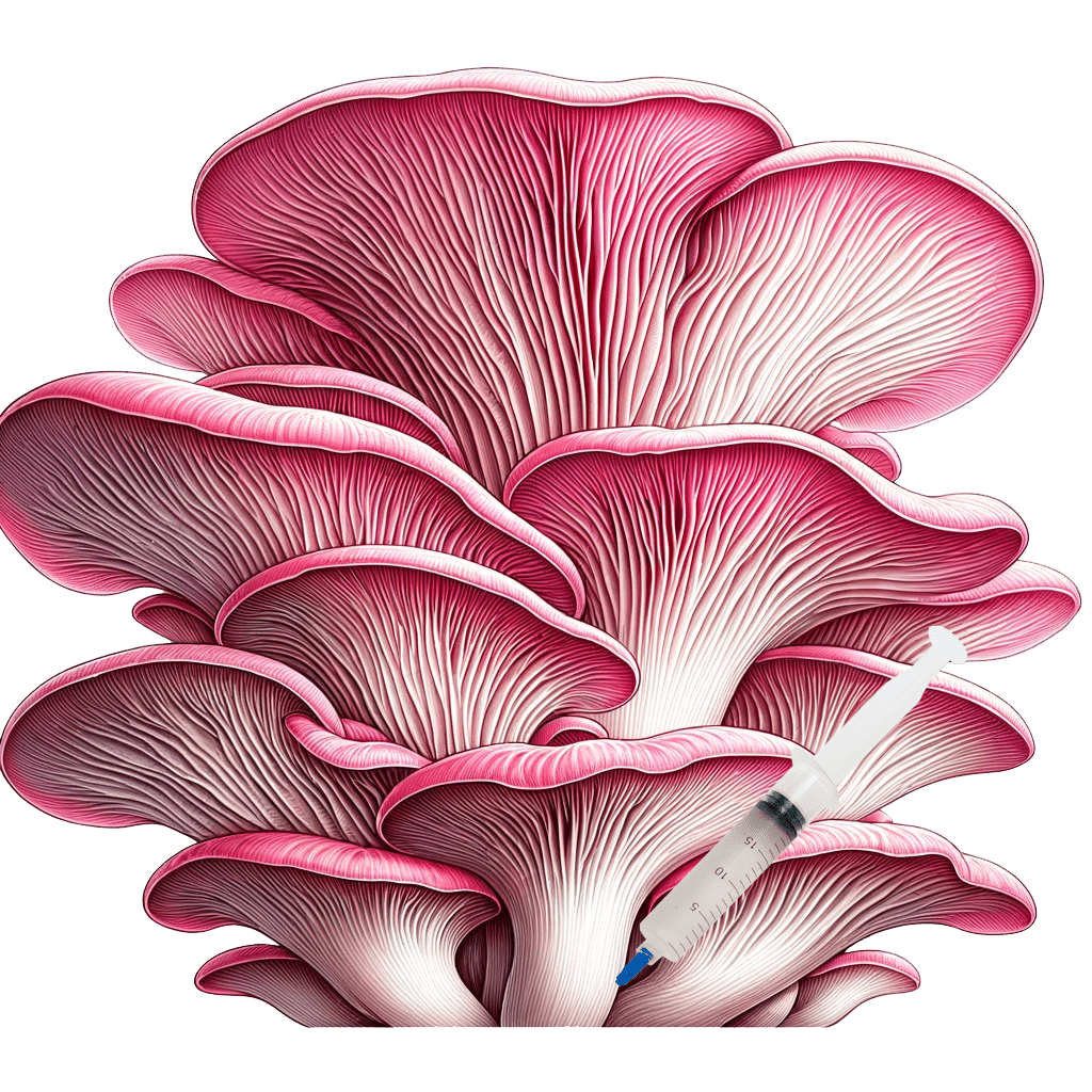 Pink Oyster (10cc) Culinary Mushroom Liquid Culture - zugzology