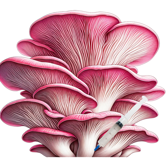 Pink Oyster (10cc) Culinary Mushroom Liquid Culture