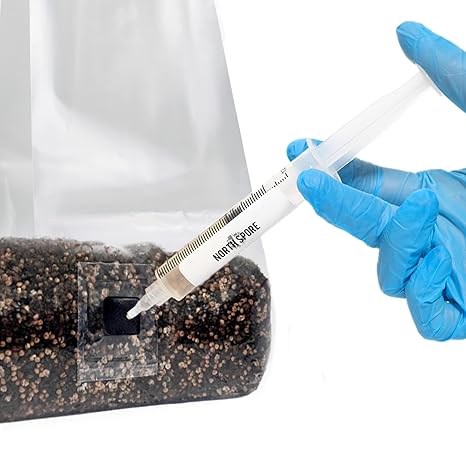 A hand in a blue glove holds a syringe labeled Zugzology to inject Cordyceps (10cc) Culinary Mushroom Liquid Culture into a black port on a clear bag with dark granules at the bottom, set against a white backdrop.