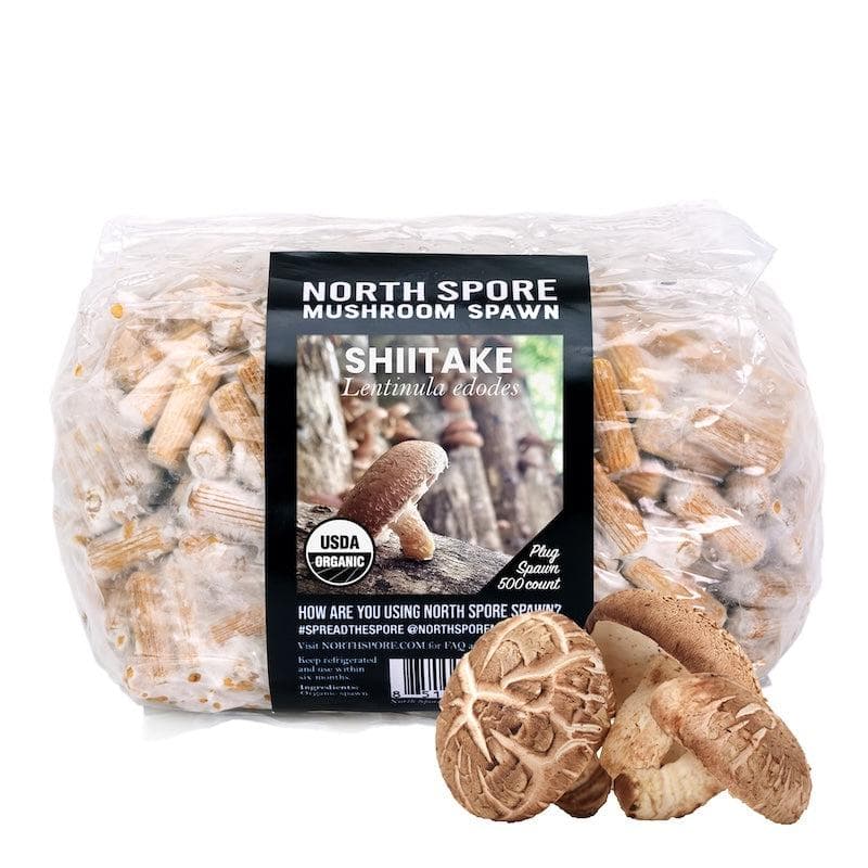 Organic Shiitake Mushroom Plug Spawn