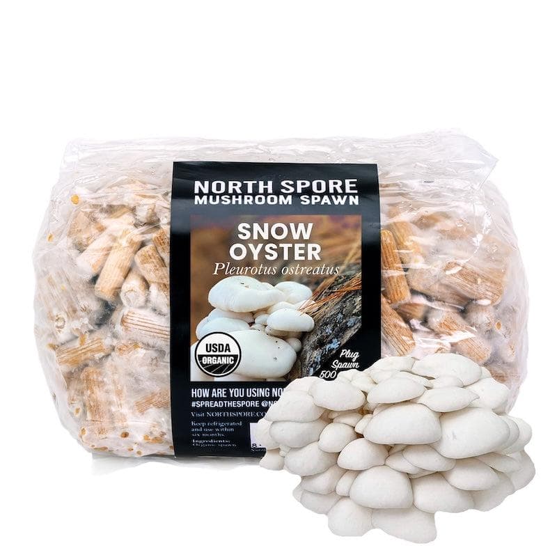 Organic Snow Oyster Mushroom Plug Spawn