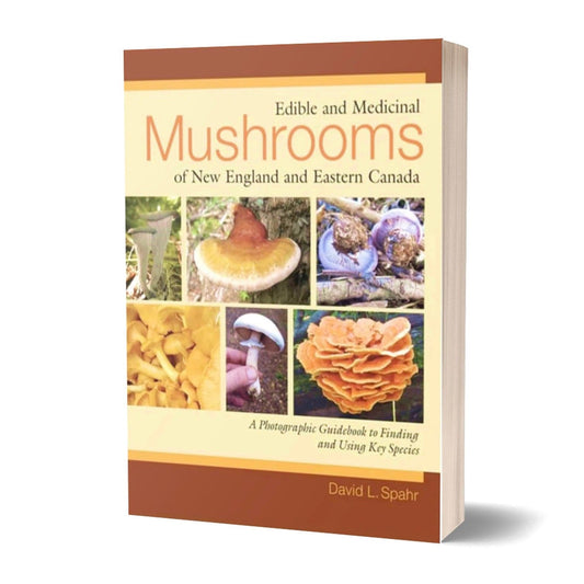 Edible & Medicinal Mushrooms of New England