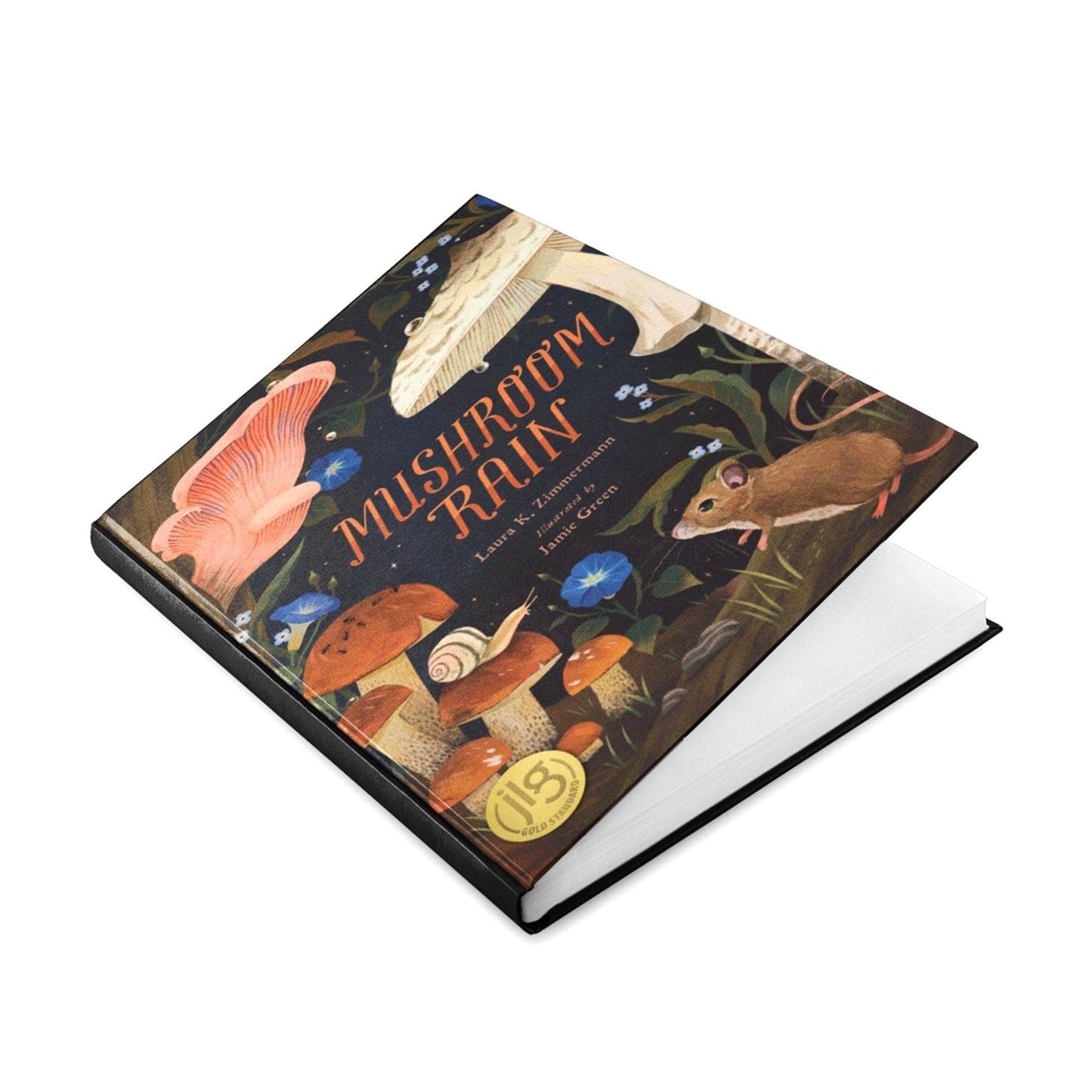 Mushroom Rain (Illustrated Book)