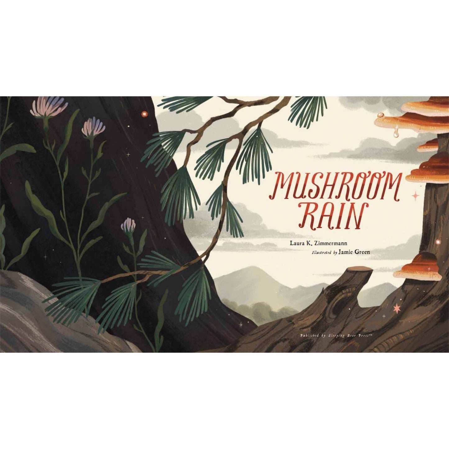 Mushroom Rain (Illustrated Book)