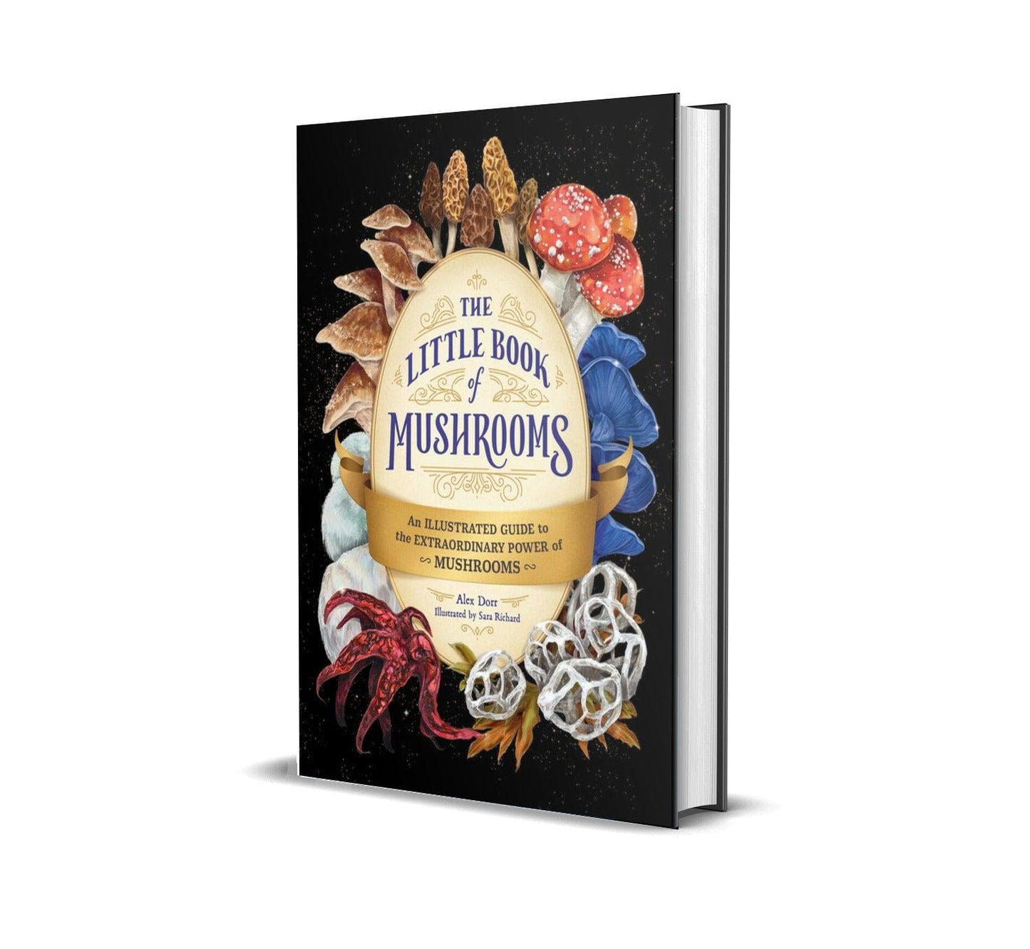 The Little Book of Mushrooms: An Illustrated Guide