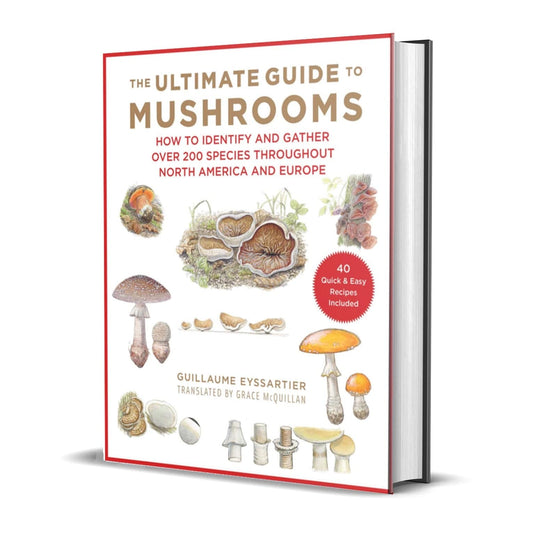 The Ultimate Guide to Mushrooms