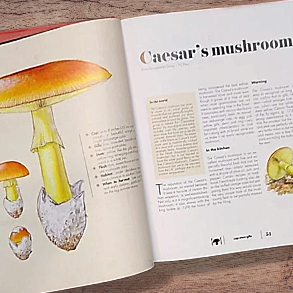 The Ultimate Guide to Mushrooms