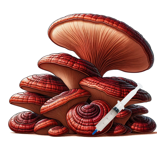 Reishi (10cc) Culinary Mushroom Liquid Culture