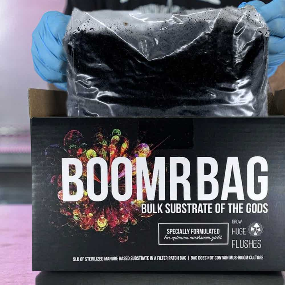 Wholesale | Boomr Bag Sterile Manure Substrate