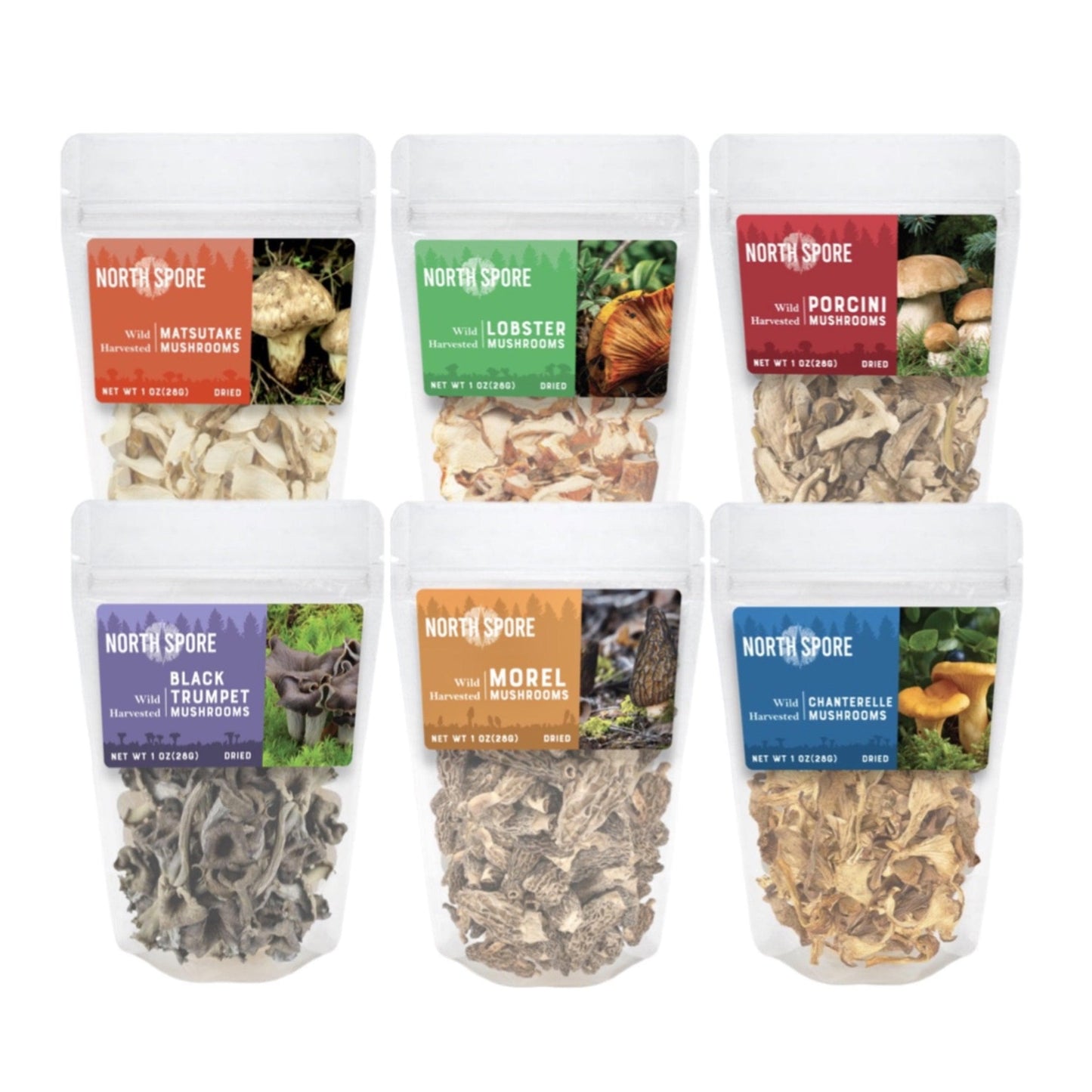 Wholesale | Dried Wild Mushrooms