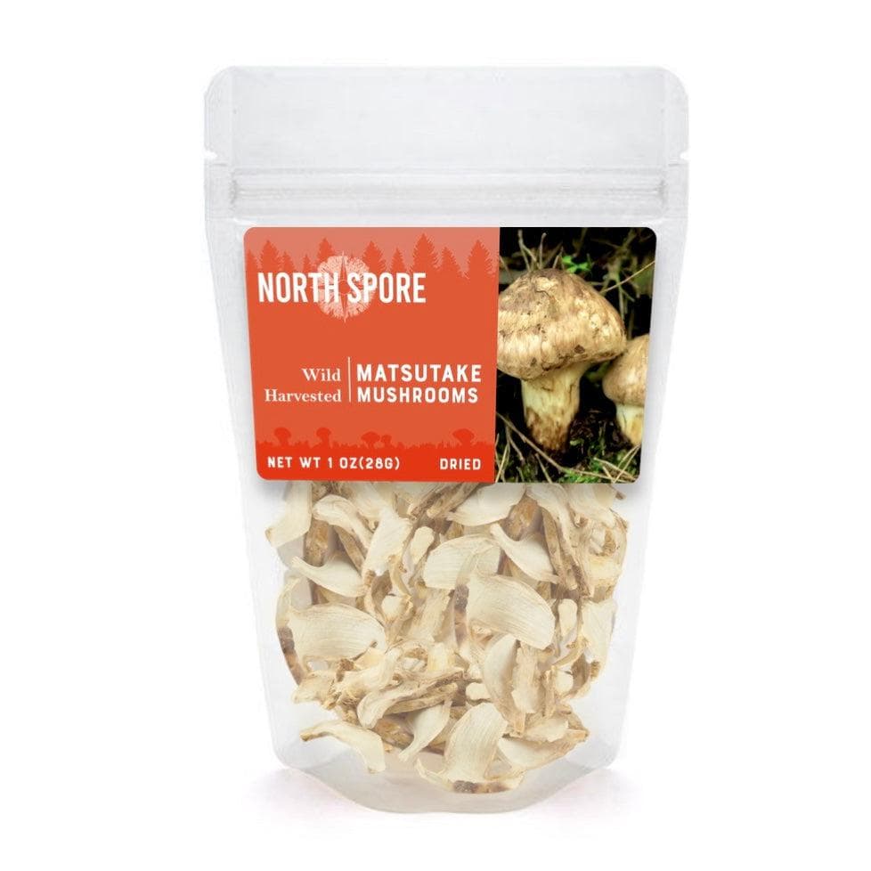 Wholesale | Dried Wild Mushrooms