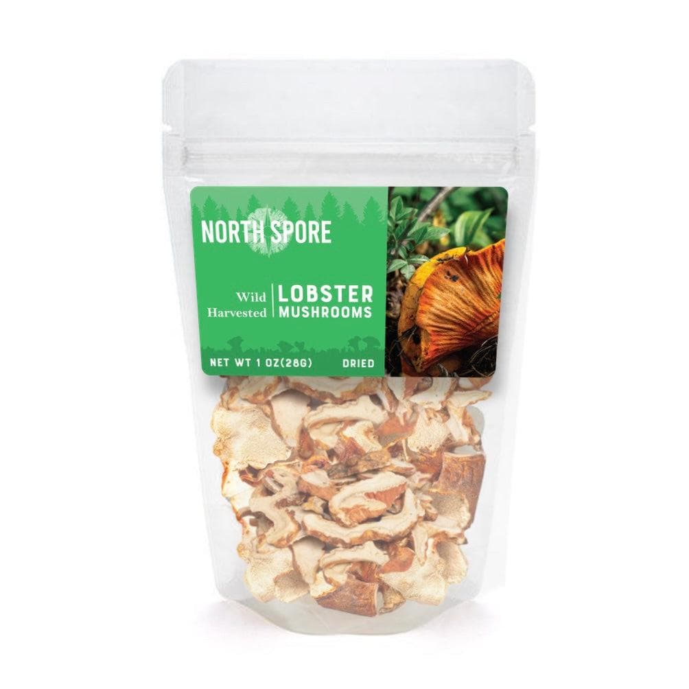 Wholesale | Dried Wild Mushrooms