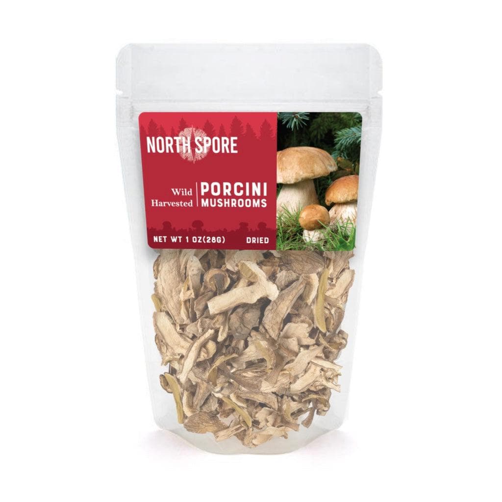 Wholesale | Dried Wild Mushrooms