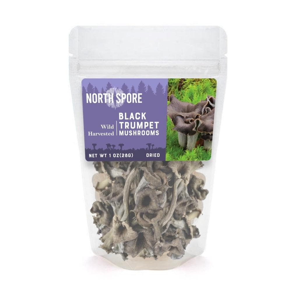 Wholesale | Dried Wild Mushrooms